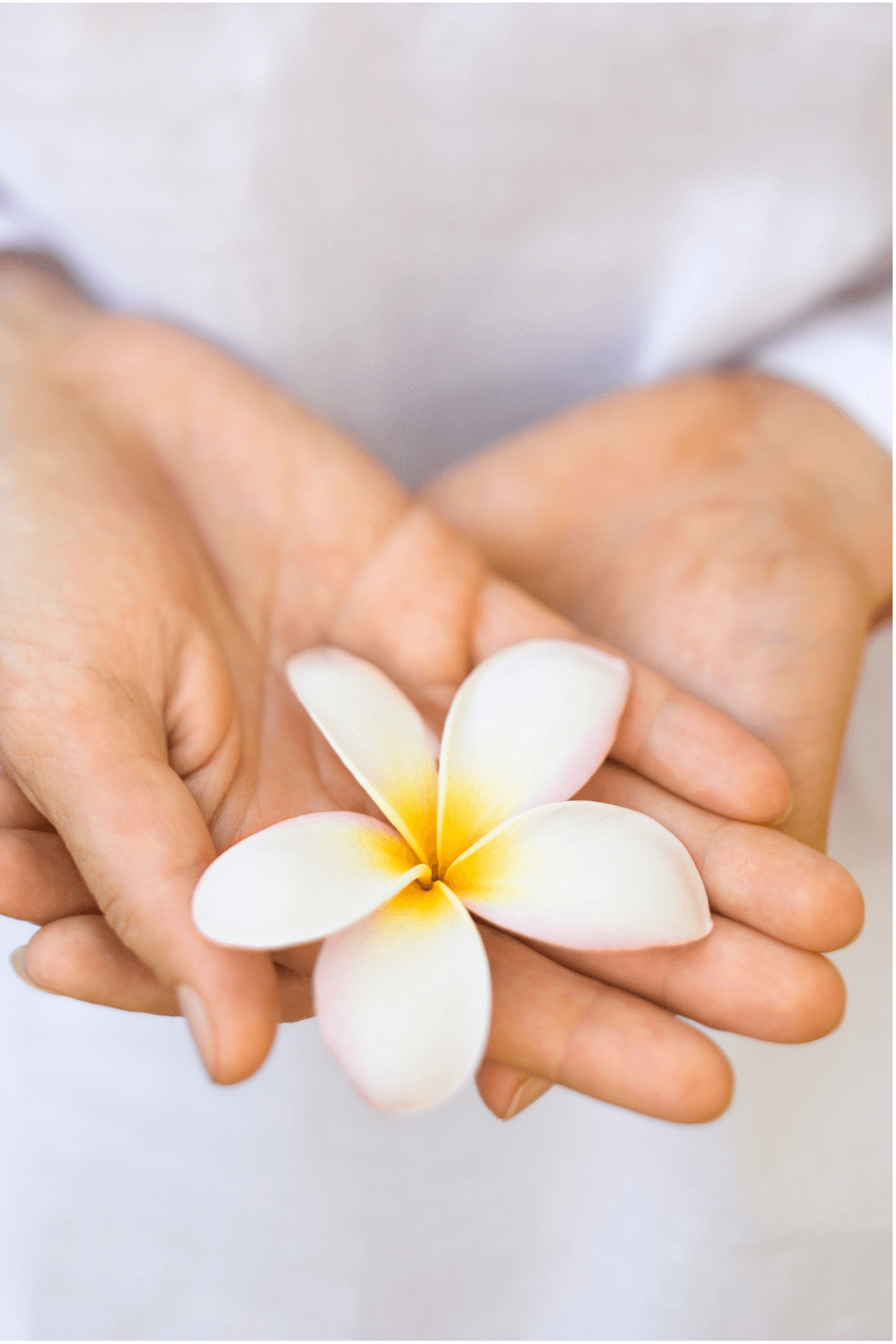 le fleurs âges-tarifs -parrainage-massage